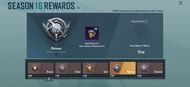 Platinum tier rewards